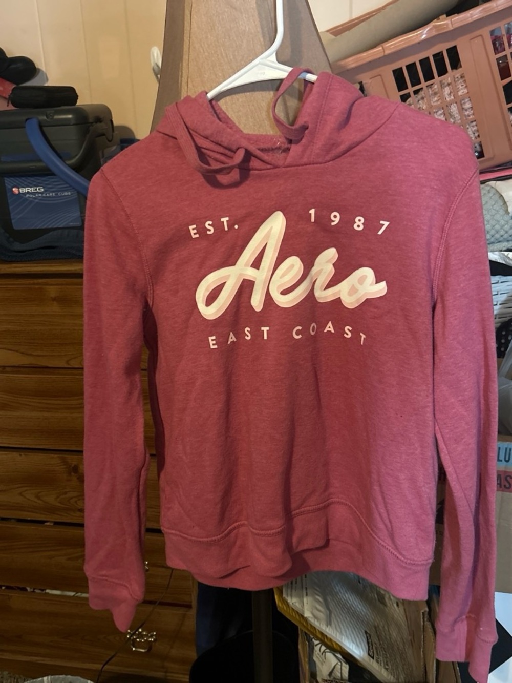 Aeropostale East Coast Hoodie Sweater in Dusty Rose